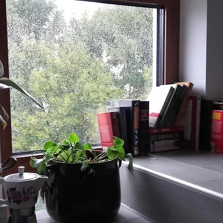 Books & Bikes 4*