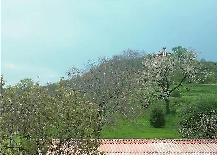 Bed & Breakfast Books & Bikes 4*